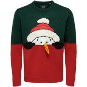 Trui Only &amp; Sons ONSXMAS REG BLOCK CREW KNIT - 22023346