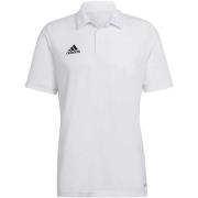 T-shirt adidas Ent22 Polo