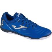 Sportschoenen Joma Maxima 24 MAXW IN