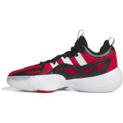 Basketbalschoenen adidas -