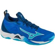 Fitness Schoenen Mizuno Wave Momentum 3