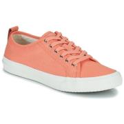 Lage Sneakers Clarks Roxby Lace