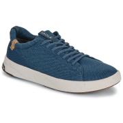 Lage Sneakers Saola CANNON KNIT 2.0 WOOL