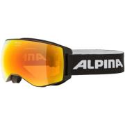 Sportaccessoires Alpina -