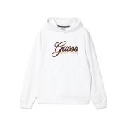 Sweater Guess -