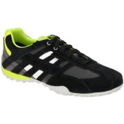 Nette Schoenen Geox -