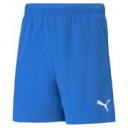 Korte Broek Puma TEAMRISE SHORT