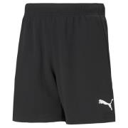 Korte Broek Puma TEAMRISE SHORT