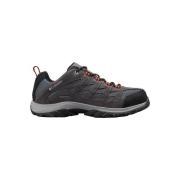 Wandelschoenen Columbia Crestwood Low