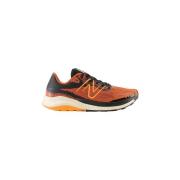 Hardloopschoenen New Balance M5 Nitrel