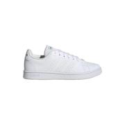 Sneakers adidas Advantage Base