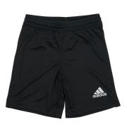 Korte Broek adidas ENT22 SHO Y