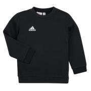 Sweater adidas ENT22 SW TOPY