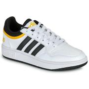 Lage Sneakers adidas HOOPS 3.0 K