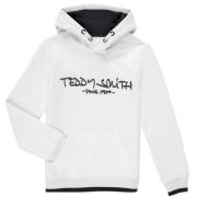 Sweater Teddy Smith SICLASS HOODY