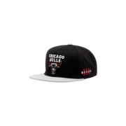 Pet Mitchell And Ness -