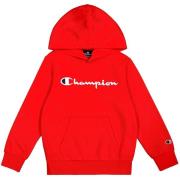 Sweater Champion -