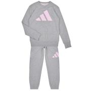 Trainingspak adidas -