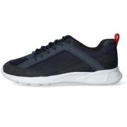 Sneakers Geox -