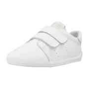 Sneakers Blanditos PARISBD