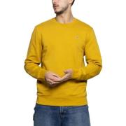 Sweater Klout -