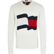 Trui Tommy Hilfiger -