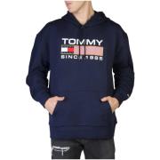 Sweater Tommy Hilfiger Hoodie sinds 1985 model