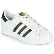 Lage Sneakers adidas SUPERSTAR J