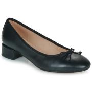 Ballerina's Geox D45WMA000TUC9999