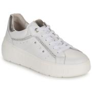 Lage Sneakers NeroGiardini E513093D