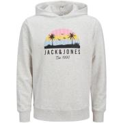 Sweater Jack &amp; Jones -