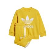 Trainingspak adidas -