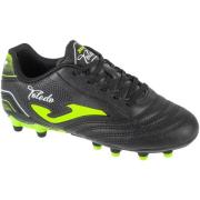 Voetbalschoenen Joma Toledo Jr 25 TOJS FG