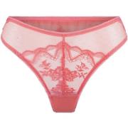 Slips Lingadore String