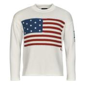 Trui Polo Ralph Lauren PULL US FLAG