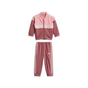 Trainingspak adidas -