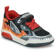 Lage Sneakers Geox J INEK BOY