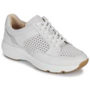 Lage Sneakers Clarks Tivoli Walk