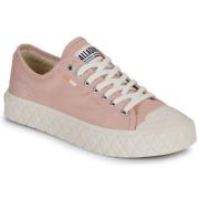 Lage Sneakers Palladium PALLA ACE CVS ORG