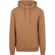Sweater Colorful Standard Organic Hoodie Bruin