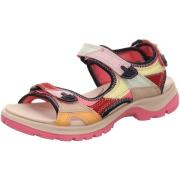 Fitness Schoenen Ecco -