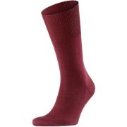 Sokken Falke Airport Sok Bordeaux 8596