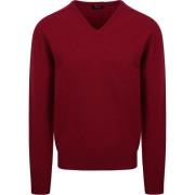 Sweater William Lockie V Lamswol Bordeaux