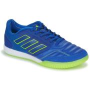 Voetbalschoenen adidas TOP SALA COMPETITIO