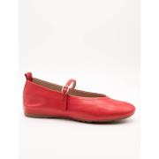 Ballerina's Wonders -