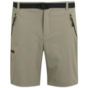Korte Broek Regatta -
