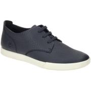 Nette Schoenen Ecco -