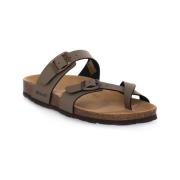 Slippers Grunland TORTORA 40SARA