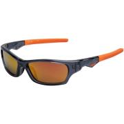 Zonnebril Nike DZ7379-021
