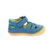 Ballerina's Kickers Kick Sushyk